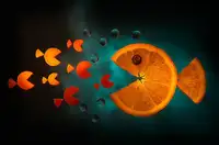 Ianeva, Aida: Oranžová ryba