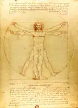 Vinci, Leonardo: The study of human body