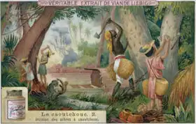 Neznámý: Tapping rubber trees, promotional advertising card for Veritable Extrait de Viande Liebig
