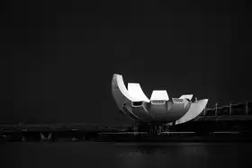 Jambunathan, Ravikumar: Lotus