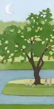 Moore, Mega: Cherry Tree, Summer