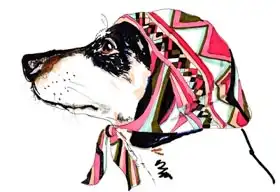 Chambers, Jo: Pooch In Pucci