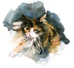 Keeling, Joh: Calico Cat