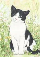 Scott, Samuel: Black and White Cat with Daisies