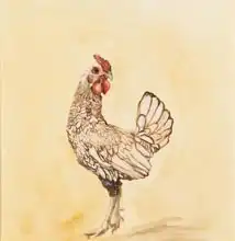 Sanders, Francesco: Lacewing chicken