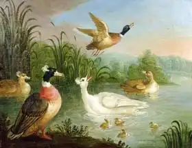 Craddock, Marmaduke: Ducks on a River Landscape