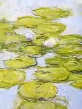 Monet, Claude: Nympheas