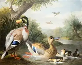 Bogdani or Bogdany, Jakob: Ducks in a River Landscape