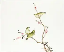 Čínská škola: White-Eye bird, Ch ien-lung period (1736-1796)