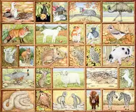 Ditz: Alphabetical Animals
