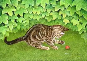 Ditz: Strawberry-Kitten