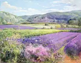 Easton, Timoth: Lavender Fields in Old Provence