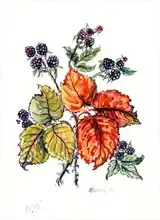 Hill, Nell: Bramble