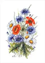 Hill, Nell: Cornflower, Poppy and Ox-eye Daisy
