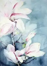 Armitage, Karen: Magnolia Soulangeana