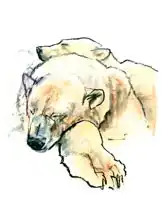 Adlington, Mark: Pillow