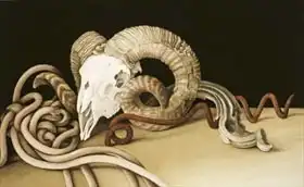 Barron, Jenny: Vanitas