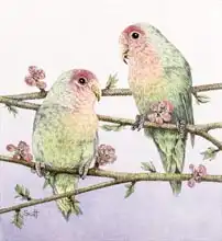 Scott, Pat: Love Birds