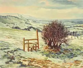 Tyndall, Robert: Sussex Stile, Winter