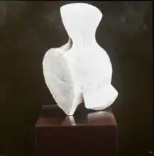 Seligman, Lincol: Whole Vertebra