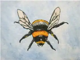 Thompson-Engels, Sara: Bumble bee