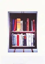 Scales, Terr: Small American Library