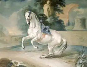 Hamilton, J.G.: White Stallion Leal en levade