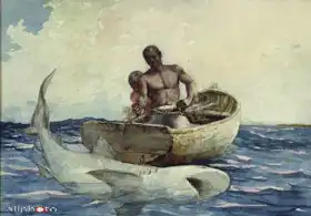 Homer, Winslow: Lov žraloků