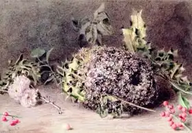 Hunt, William Henry: Long Tailed Tits Nest