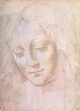 Vinci, Leonardo: Head of a woman
