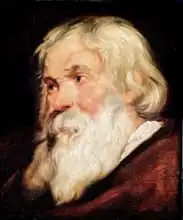 Rubens, Peter Paul: Head of an Old Man