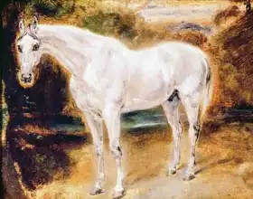 Delacroix, Eugene: White Horse