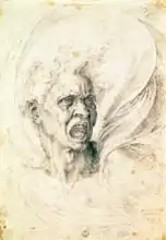 Buonarroti, Michelangelo: Study of a man shouting