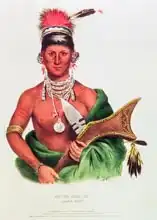 Americká škola (19. století): Ap-Pa-Noo-Se, Saukie Chief