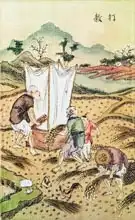 Chinese Schoo: Story of Rice