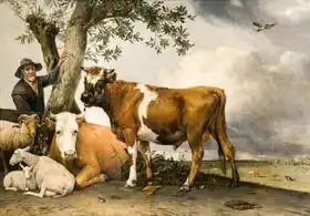Potter, Paulus: Bull