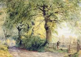 Steeple, John: Under the Beeches