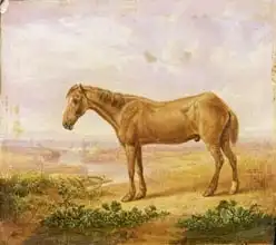 Towne, Charles: Old Billy, a Draught Horse, Aged 62