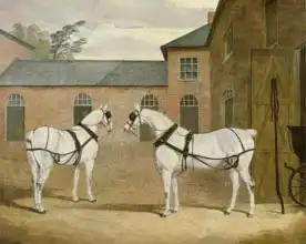 Herring Snr, John Frederick: Mr. Sowerby Grey Carriage Horses in his Coachyard at Putteridge Bury, Hertfordshire