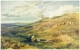 Turner, William: Dartmoor: The Source of the Tamar and the Torridge