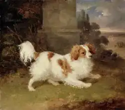 Webb, William: Blenheim Spaniel